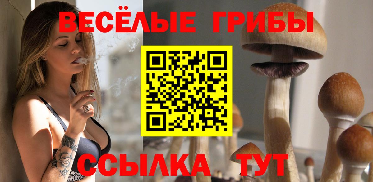 Галлюциногенные грибы мухоморы Сочи